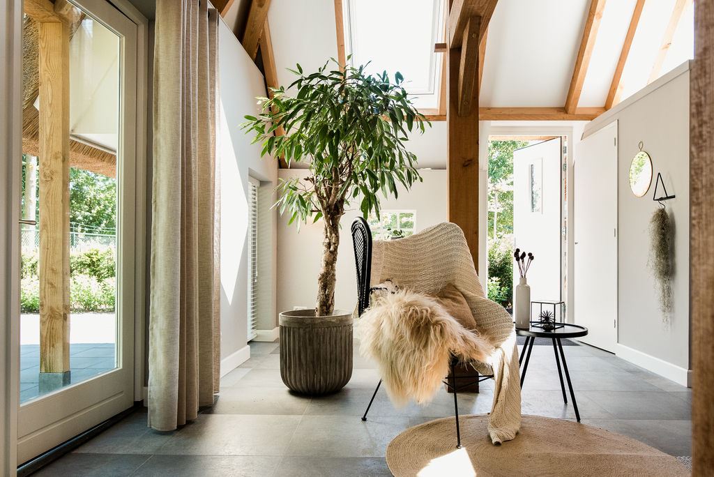 Lichte zithoek met fauteuil en planten